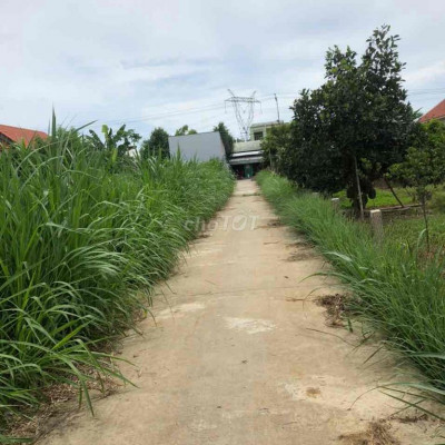 Đất Điện Bàn Ngang 7m cách đường nhựa vài bước chân giá 4xx