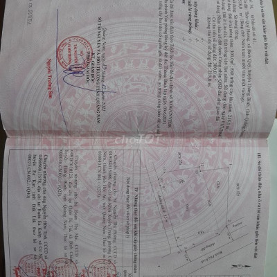 MẠT TIỀN KÊNH PHÚ NINH