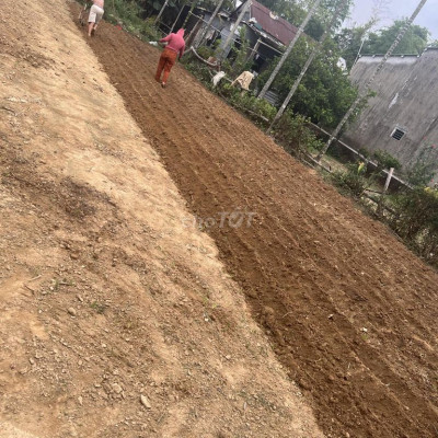 Bán 640m2(tách được 4 lô) đất xã Đại Nghĩa,huyện Đại Lộc giá 1,35 tỷ