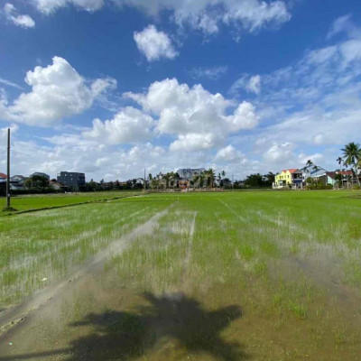 đất view lúa phường thanh hà diện tích 676m kiệt hùng vương