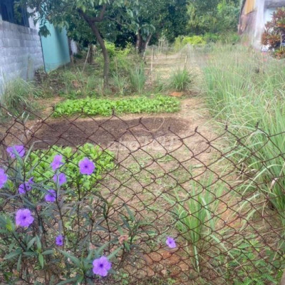 Đất Phường Điện Thắng Nam, đường oto, cách trạm thu phí tầm 2km