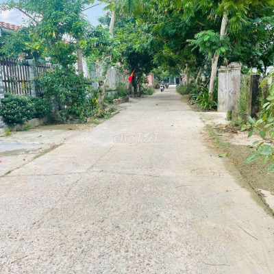 Cần Bán Nhanh Lô 120m2 Đường 7m Gần Chợ Lạc Thành Giá Sụp hầm 6xx.