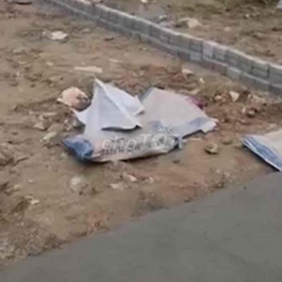 Đất Tứ Ngân Điện Ngọc 100m2 giá 920tr