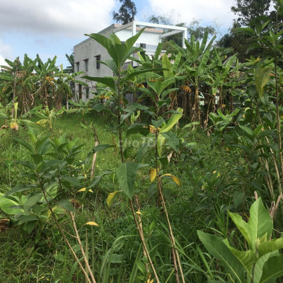 Bán đất Hội An, xã Cẩm Kim