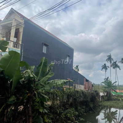 cần Bán Đất để mua đất cho con ở Đà Nẵng