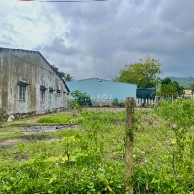 Chỉ với 4xx bạn đã sở hữu ngay lô đất 120m2 Mặt Tiền Đường Điện Hồng