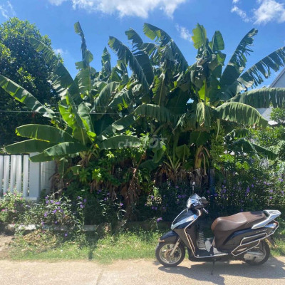 CHÍNH CHỦ BÁN LÔ ĐẤT GẦN KCN SENDO DUY TRINH, QUẢNG NAM