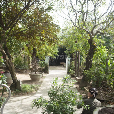 Nhà sân vườn thoáng đãng, gần gũi với thiên nhiên, yên tĩnh.