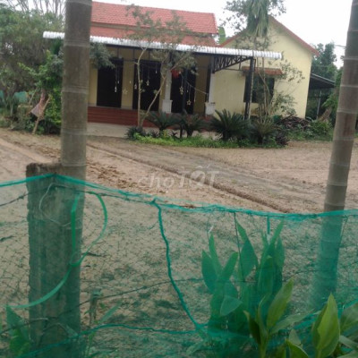 Đường bê tông 6m_150m ngay Kdl Bồ bồ ko mồ mã,ko ngâpk lụt