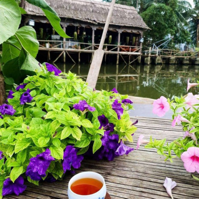 Bán lô đất diện tích lớn phù hợp xây biệt thự villa ở Hội An