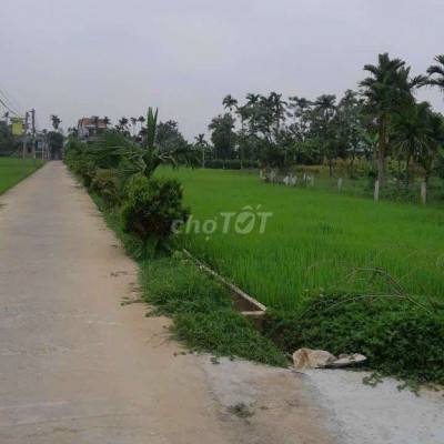 ĐẤT RẺ. CẦN BÁN GẤP. MUA XÂY NHÀ HAY ĐỂ DÀNH ĐỀU OK