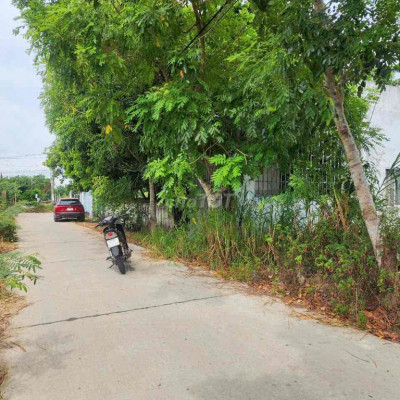 Bê tông chính Điện Nam Bắc giá 10xx