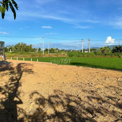 Bán 2 lô liền kề View ĐỒng Phố Hội An - Làm Homestay Khách sạn