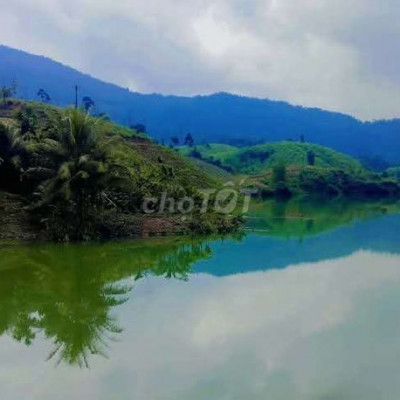 Hàng đẹp views cực hiếm khách chốt nhanh. Bán 60 hecta đất