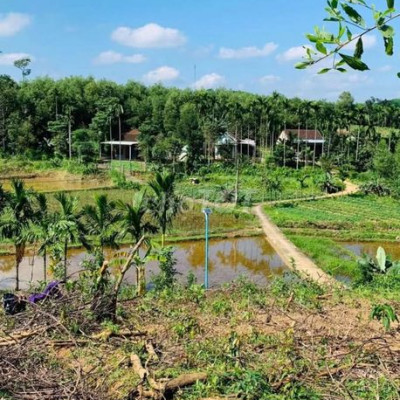 Hàng đẹp giá rẻ views đồng Chính chủ cần bán  7000m2 đất cây lâu năm