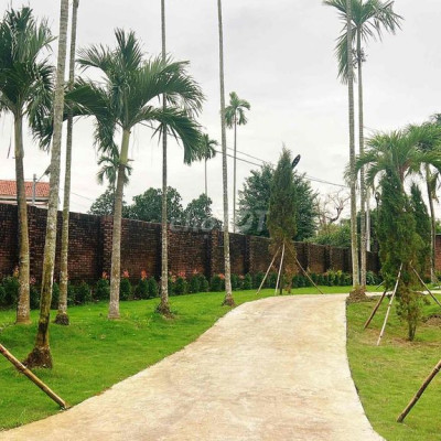 3600m2 dinh thự view sông