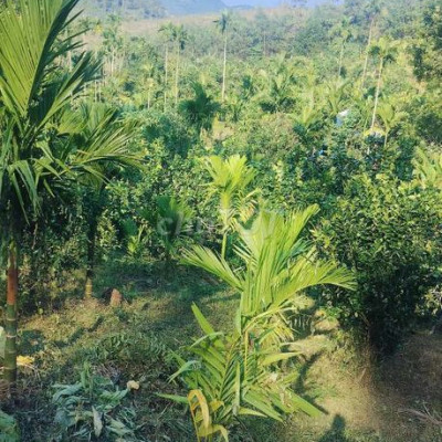 Chính chủ 5 ha ,5  bám suối có nhà  đã thép gai rào kín đất có 2 hồ