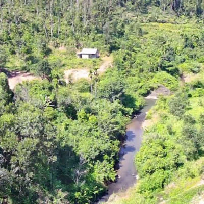 Bán trang trại nhà Vườn 1.2 heta 12.000m2 CLN bám suối to