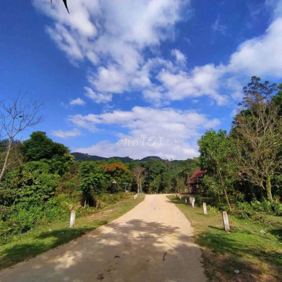 Chính chủ cần nhượng lại ngôi nhà tâm huyết có vườn rông