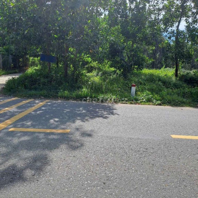 Cần tiền ăn Tết, ra nhanh lô Đất mặt tiền, gần khu công nghiệp