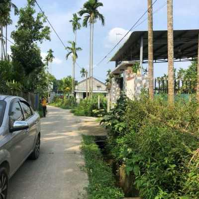 Cần tiền ăn Tết, ra nhanh lô Đất TXuân 1 , gần chợ Ông Nhơn 
Đường oto