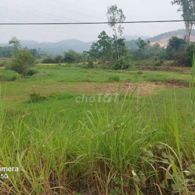 Bán nhà vườn 1300m2 có 300 đất ở 
Vườn đã có s
Cách đường ql40b 400m