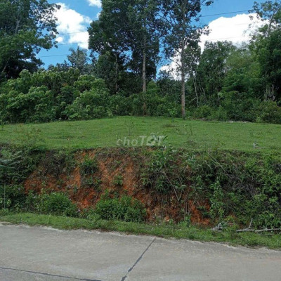 chính chủ càn bán lô đất mt bê tông 5m5 dt hơn 6000m đất trồng cây