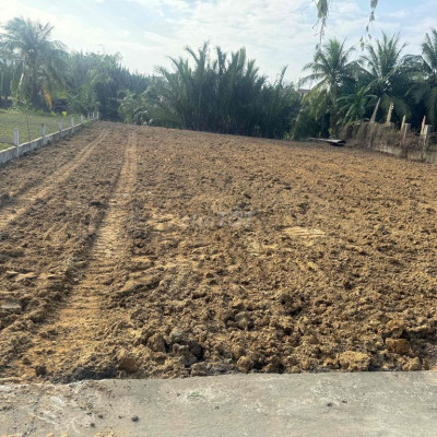 319 m cây lâu năm view sông khu vực villa, homestay tập trung