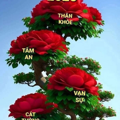 NHẬN MUA BÁN KÝ GỬI NHÀ & ĐẤT KHU VỰC ĐIỆN NAM - ĐIỆN NGỌC.