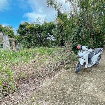 Bán đất gần chợ Đại Cường, Đại Lộc, Quảng Nam