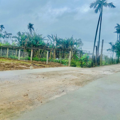 Đất nền thổ cư 100% cách Hội An 15p di chuyển sổ mới tách giá tốt