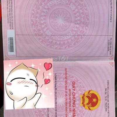 💯Cực rẻ, dt to 220m2 ngang 9m đất vàng Cẩm Châu, Hội An chỉ 5.4 tỷ.