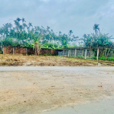 Đất view lúa gần Hội An - 194m2 full đất ở - Đường ô tô sát trục chính