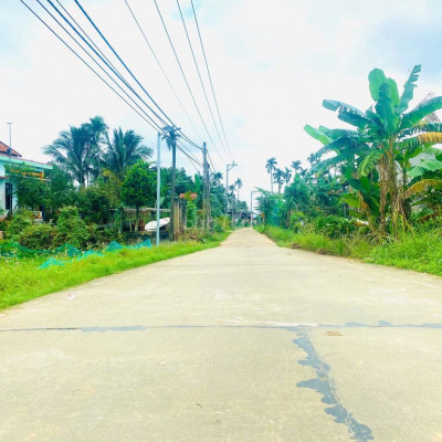 🔥CƠ HỘI ĐẦU TƯ SINH LỜI - ĐẤT ĐẸP THANH AN, ĐIỆN HỒNG🔥