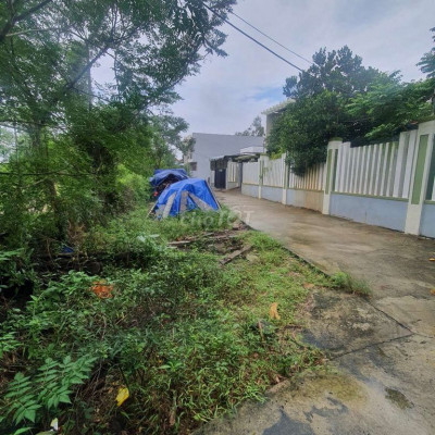 2 mặt kiêt oto Tứ Ngân