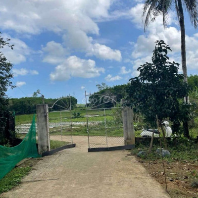 Nhà vườn Tam Phước- cách đường nhựa 400m view đồng chill ko đợi chiều