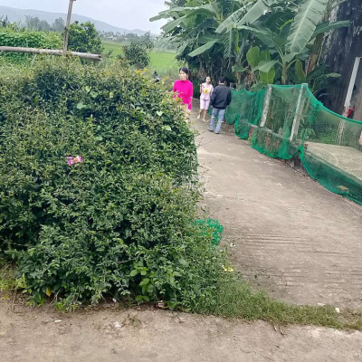 Một lô đất giá rẻ nhất điện tiến cho ai muốn có một chỗ Định cư mat mẻ