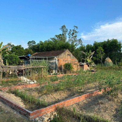 CHÍNH CHỦ BÁN ĐẤT GIÁ RẺ QUẾ CHÂU - QUẾ SƠN 125 TRIỆU 133M2