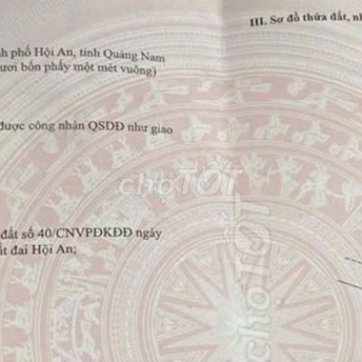 đất trần nhân tông ngang 7 dt 144m2 đương thông dài khu kinh doanh