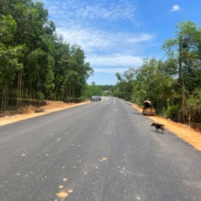 Bán đất đường nhựa phù hợp xây dựng nhà xưởng gần khu trường hải