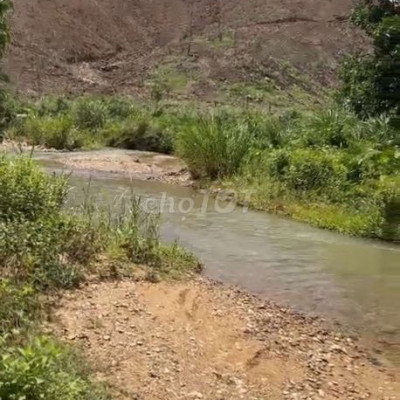 Hàng hiếm Chính chủ bán gấp 25ha đất Cay Lau Nam đất bằng ôm suối phù