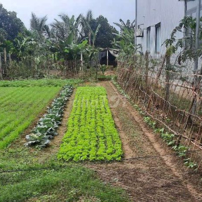 Đất chính chủ, full 100m² đất thổ cư,