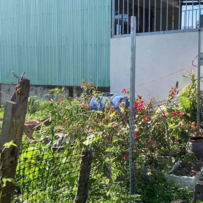 Đất Điện Ngọc gần đường Mai Đăng Chơn