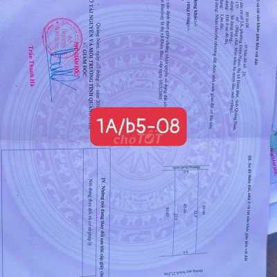 Đường Trịnh hoài đức điện ngọc, cạnh đh phan châu trinh