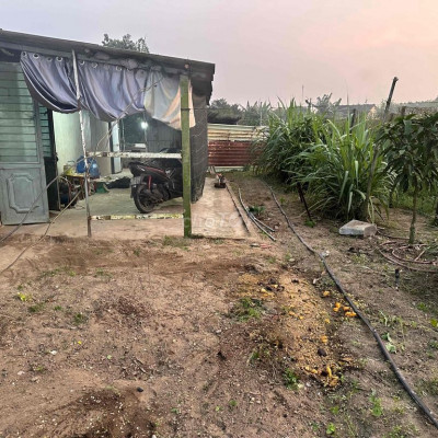 bán trang trại chăn nuôi và trồng rau sạch