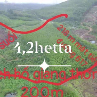 Hàng đẹp giá tốt 4.2 ha bám suối bám Mặt tiền đường 617