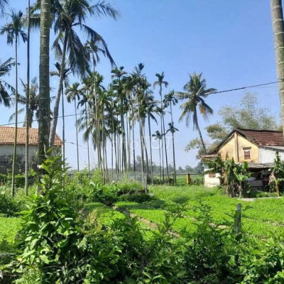 Chính chủ gửi bán lô đất 115m2 thổ cư Điện Dương cách biển 900m