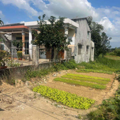 Chính chủ bán mặt tiền 610b giá sụp sàn