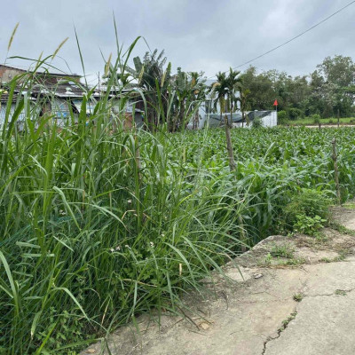 Chính chủ cần bán đất 125m2 sát lô 2 mặt tiền, gần đường tỉnh 610b