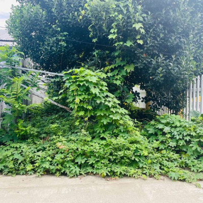 Đất Điện Thọ gần trường ,gần chợ